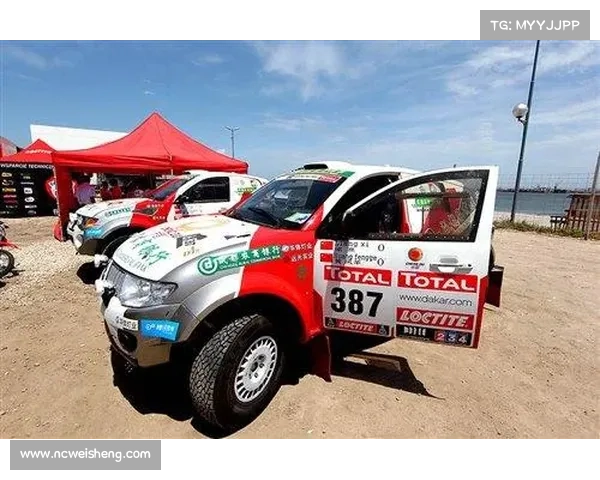 阿泽赛事全面深度分析报告涵盖历史回顾数据解读与未来展望预测