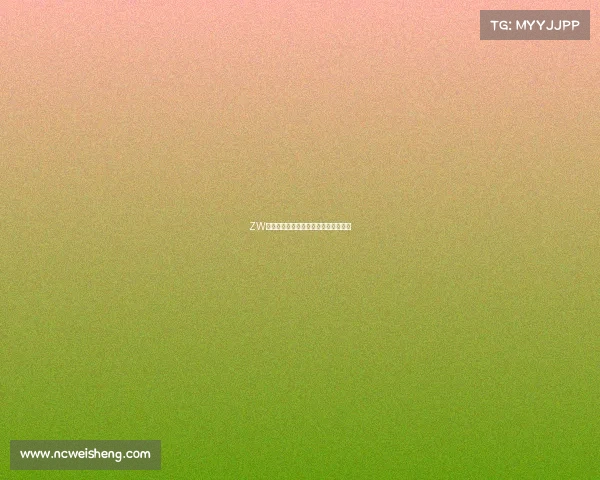 ZW战队小风锋芒乍现，破局之路引发期待